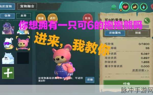 创造与魔法粉抱抱熊进阶全攻略,解锁进阶石获取秘籍