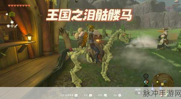 探秘奇幻世界,我的世界骷髅马饮食秘籍与喂养艺术全解析