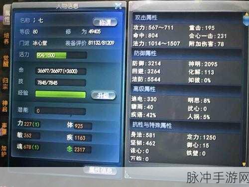 天下3藏宝阁淘号秘籍,高手玩家的买号智慧