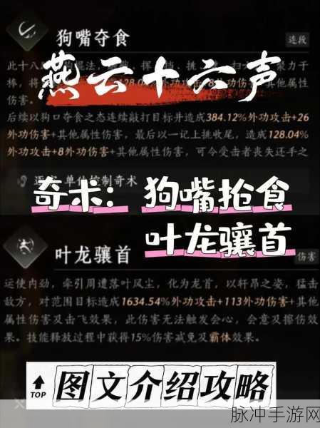 燕云十六声绝世高手任务全攻略，解锁武林巅峰的秘籍
