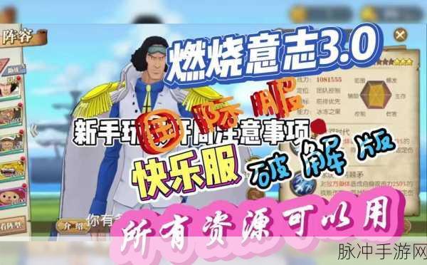 航海王燃烧意志，解锁精选招募的奥秘