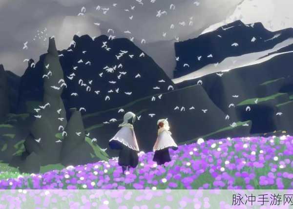 光遇浪漫樱花海,解锁隐藏地图的绝美之旅