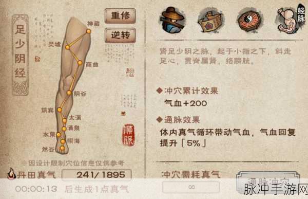 烟雨江湖泰安镇宝藏图,获取攻略与全面详解