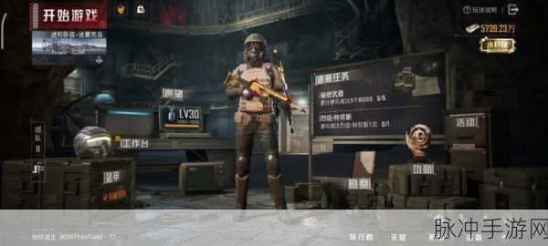 和平精英，四排战场上的默契战术，智慧对决的巅峰