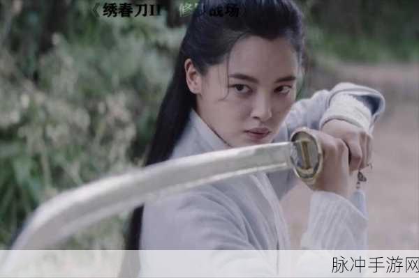 烟雨江湖绣春刀，探寻神秘获取途径与深度解析