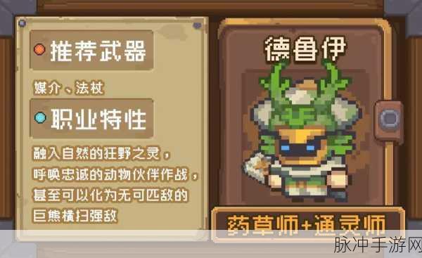 元气骑士德鲁伊全皮肤盛宴,打造独一无二的森林守护传奇!