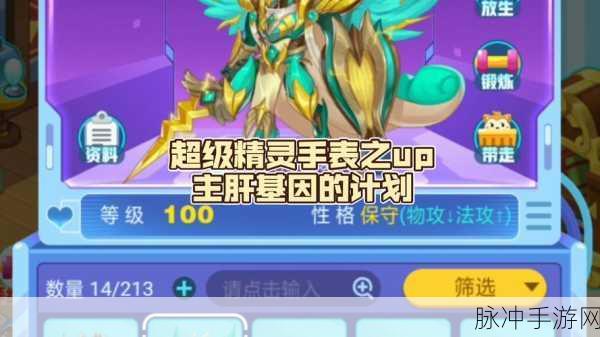 超级精灵手表熔炉制作秘籍,从新手小白到大师之路