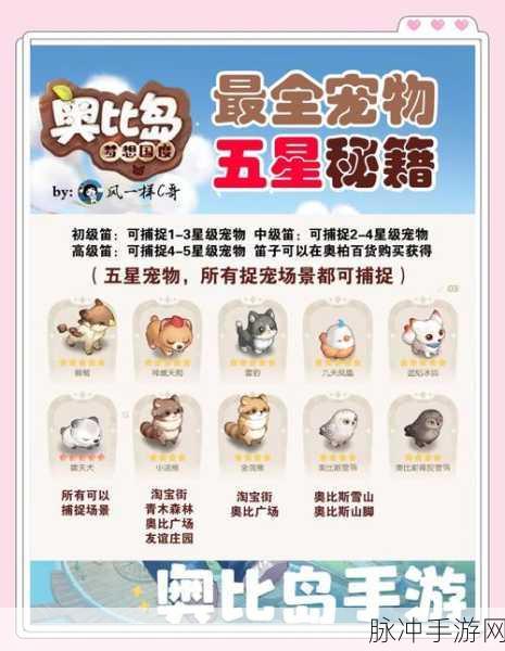 奥比岛高级宠物捕捉全攻略,地点与技巧大揭秘