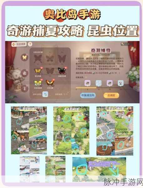 奥比岛高级宠物捕捉全攻略,地点与技巧大揭秘