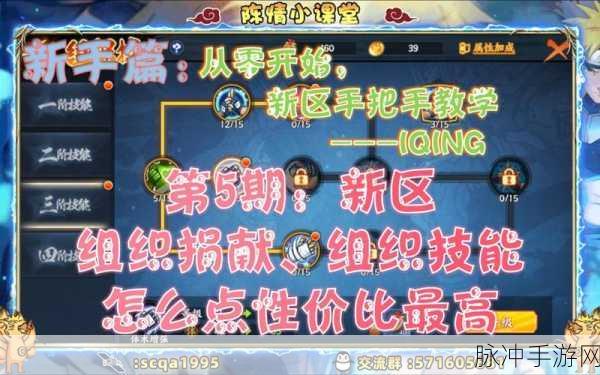 火影忍者OL深度探索,养猪策略全揭秘