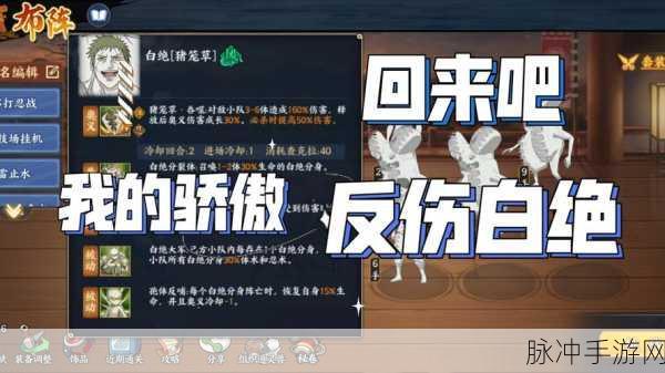 火影忍者OL深度探索,养猪策略全揭秘