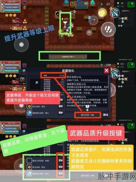 元气骑士,解锁全角色秘籍,战斗乐趣无极限探索