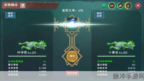 创造与魔法,揭秘两只龟融合的奇妙之旅