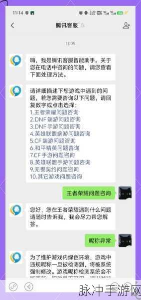 王者荣耀找朋友功能关闭,玩家社交体验迎挑战