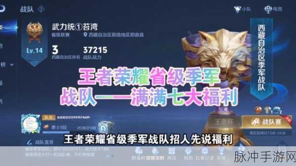 王者荣耀精英揭秘,战队精英的福利与荣耀