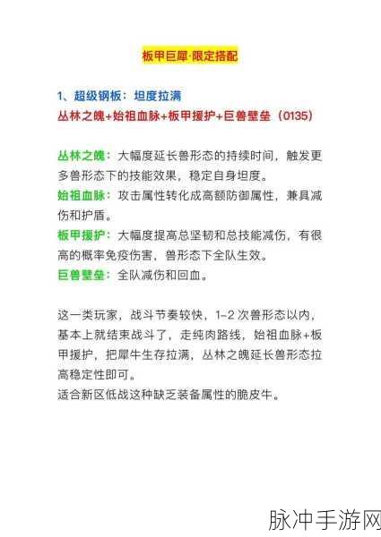 H5 新武魂板甲犀牛,阵容与魂环的完美契合攻略