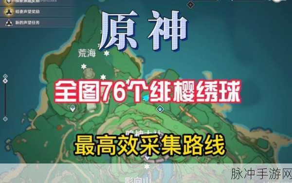 原神绯樱绣球全攻略,解锁高效采集秘籍