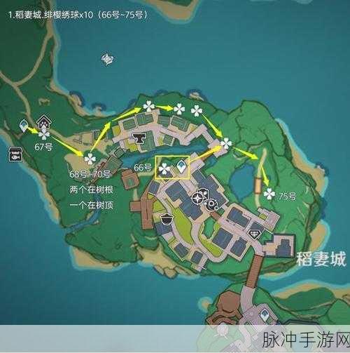 原神绯樱绣球全攻略,解锁高效采集秘籍