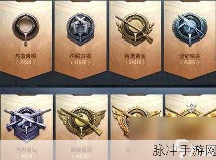 和平精英英勇黄金段位全解析,五级分段大揭秘