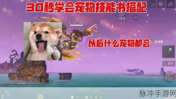 妄想山海耳鼠技能书搭配全攻略