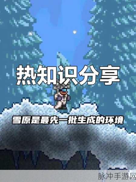 泰拉瑞亚,揭秘理发师入住的必备条件