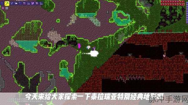 泰拉瑞亚,揭秘拆除丛林草背景墙的绝妙技巧