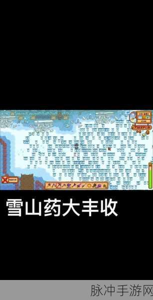 星露谷物语雪山药获取全攻略