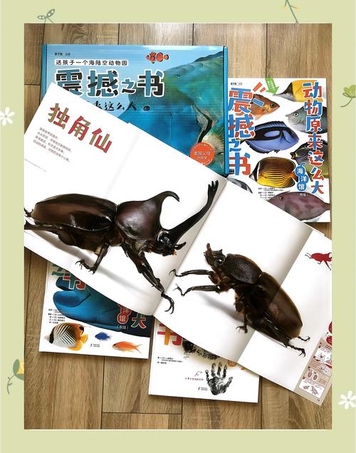 <边缘世界>B19 动物世界大揭秘