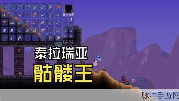 泰拉瑞亚,骷髅全解析 位置、属性与掉落大揭秘