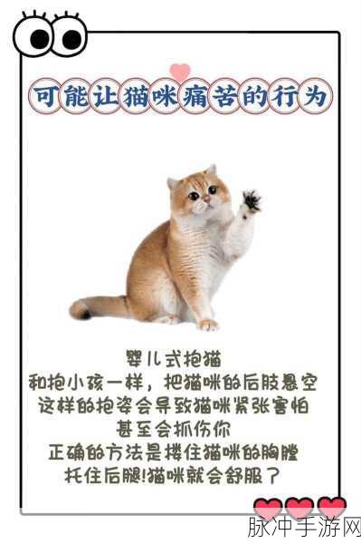 遇见你的喵,萌宠养成新体验,养猫乐趣尽在指尖