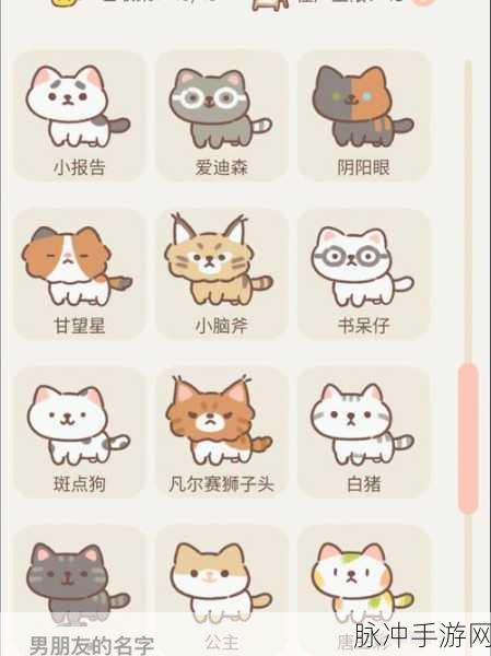 遇见你的喵,萌宠养成新体验,养猫乐趣尽在指尖