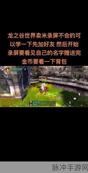 龙之谷手游金币获取全攻略,轻松致富不是梦