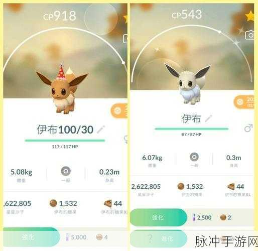 宝可梦大探险,火伊布进化全攻略与完美搭配秘籍