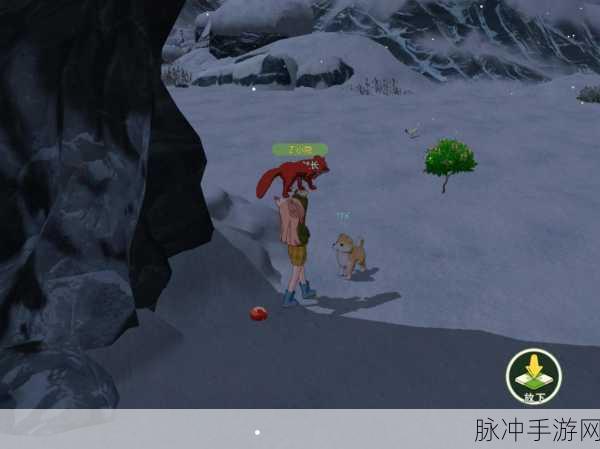 小森生活雪松树刷新时间与位置全攻略