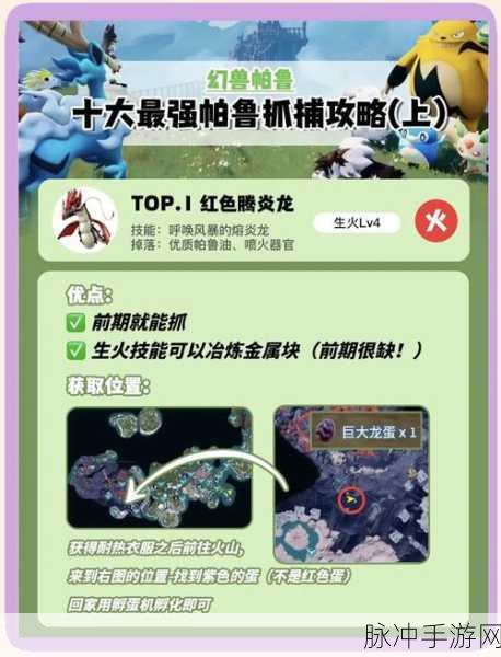 幻兽帕鲁,获取顶级帕鲁油的不传之秘