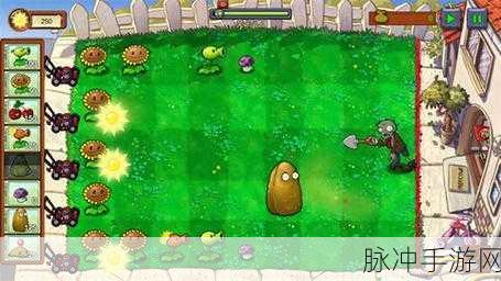 植物大战僵尸OL，逆境重生，策略升级之旅
