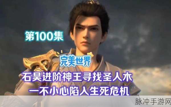 揭秘完美世界,圣人等级究竟有多高?