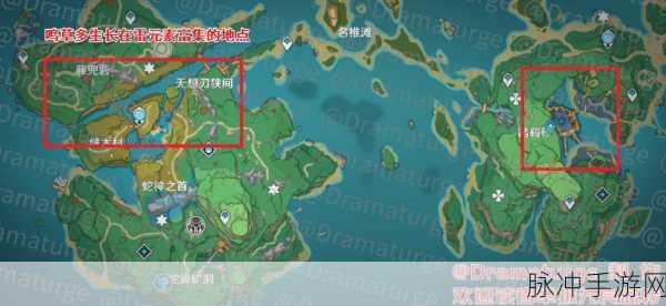 原神武者宿命任务深度攻略,揭秘稻妻武士的传奇之旅