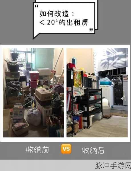 小森生活,打造猫咪温馨小窝的秘籍大公开