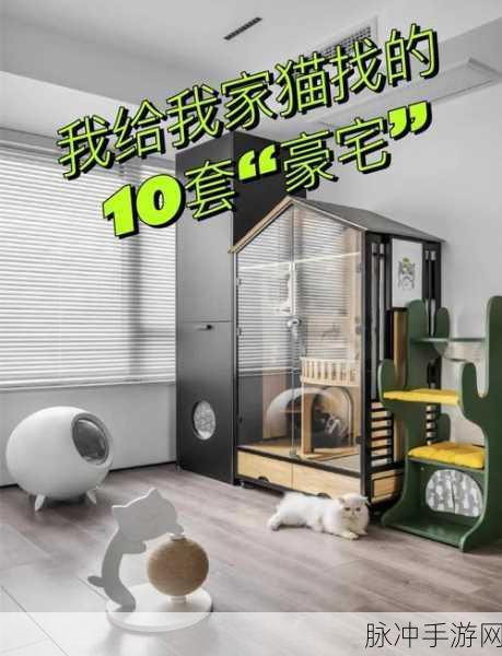 小森生活,打造猫咪温馨小窝的秘籍大公开