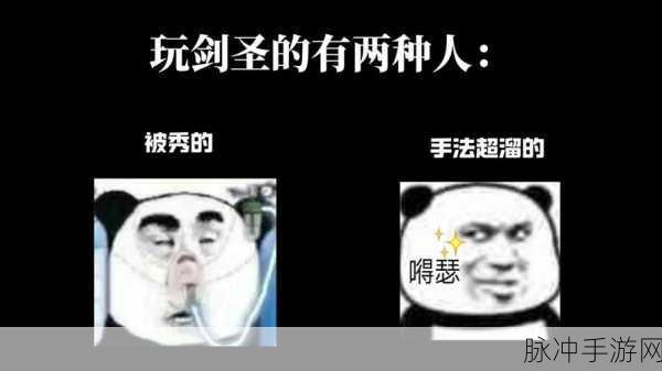龙之谷世界剑圣深度解析,最强战斗角色的非凡实力