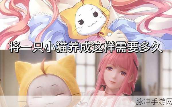 探索无限暖暖大喵礼盒的神秘宝藏