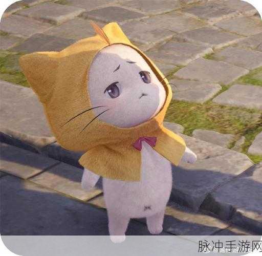 探索无限暖暖大喵礼盒的神秘宝藏