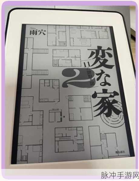 破屋取暖,解锁脑洞新境界的休闲解谜之旅