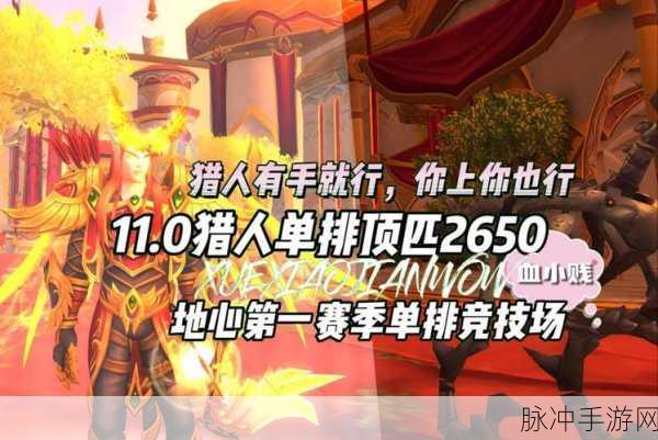 猎人竞技场传奇,解锁高手之路的进阶秘籍