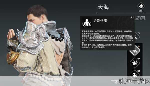 永劫无间天海大师,技能深度剖析与实战制胜秘籍
