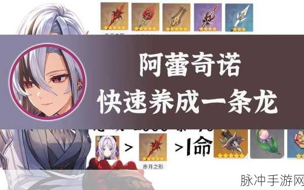 原神雷主全面攻略,技能解析、圣遗物搭配与高效配队