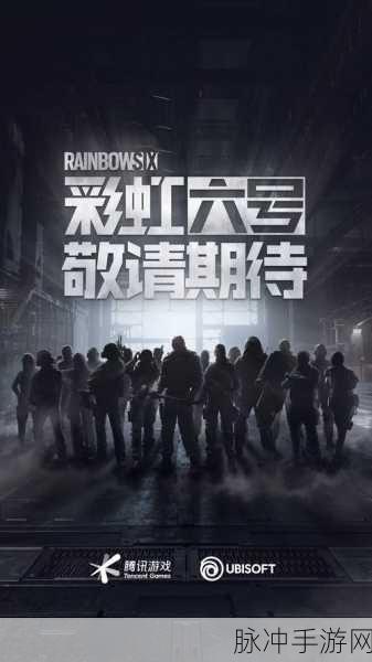 彩虹六号，豪华版与标准版深度对比，哪款更适合你？