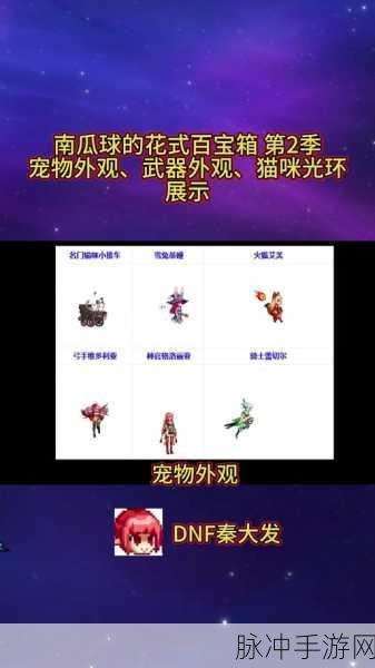 DNF至尊宠物获取全攻略,技巧与策略深度剖析