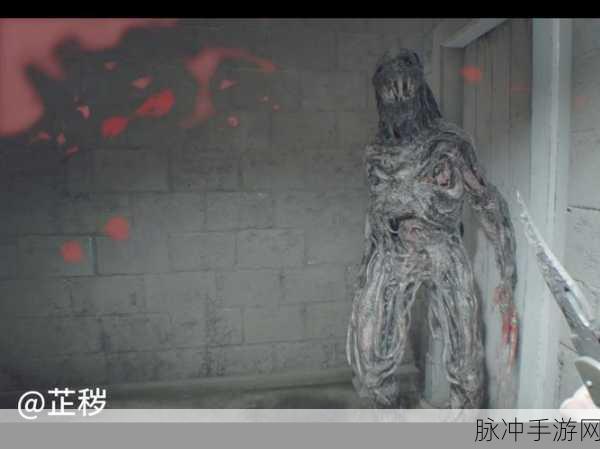 生化危机7,深入险境,肮脏秘密与全收集宝典